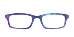 The Galaxy