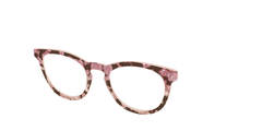 The Pale Peach Pearl Tortoise