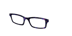 The Black Holographic Check