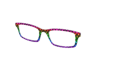 The Rainbow Dragon Scales