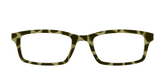 The Olive Tortoise