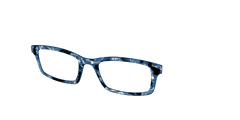 The Midnight Blue Pearl Tortoise