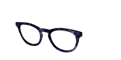 The Black Holographic Check