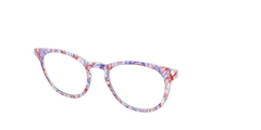 The Pair's Anatomy