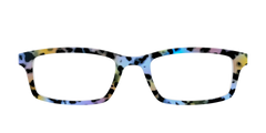 The Positano Tortoise
