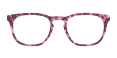 The Maroon Tortoise