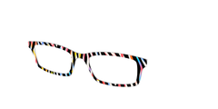 The Vivid Zebra Stripes