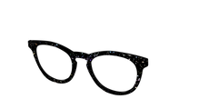 The Black Holographic Flakes