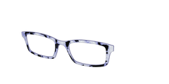The Lilac Pearl Tortoise
