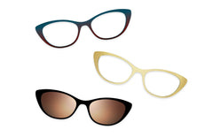Tortoise Acetate Gold Metal - Set