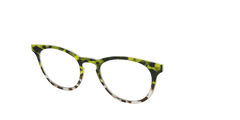 The Avocado to Ivory Tortoise