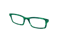 The Emerald Pearl Tortoise