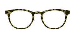 The Olive Tortoise
