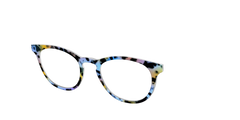 The Positano Tortoise