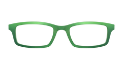 The Moss Mirror