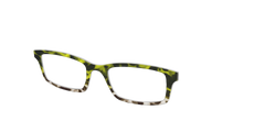 The Avocado to Ivory Tortoise