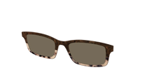 The Polarized Dark Oak Tortoise Split Sun Top