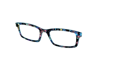 The Black Prismatic Pearl Tortoise