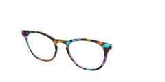 The Summer Tortoise