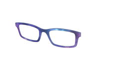 The Galaxy