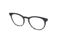 The Black Cheetah