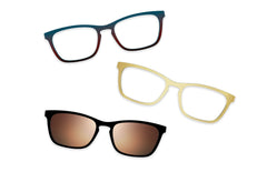 Tortoise Acetate Gold Metal - Set