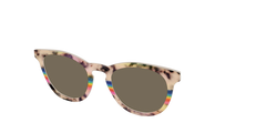 The Polarized Prism Split Tortoise Sun Top
