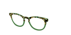 The Forest Tortoise Crystal Split