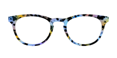 The Positano Tortoise
