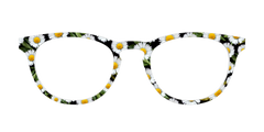 The Delicate Daisies