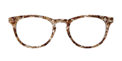 The Sandstone Tortoise