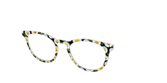 The Delicate Daisies
