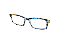 The Positano Tortoise