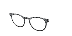 The Chrome Skulls