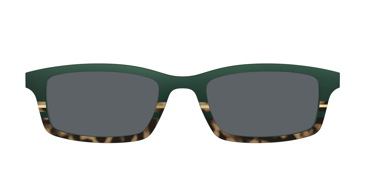 The Polarized Spruce Tortoise Sun Top
