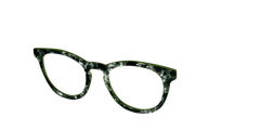 The Olive Pearl Tortoise