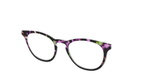 The Boysenberry Tortoise