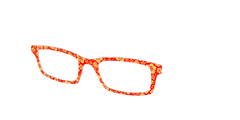 The Tropical Floral