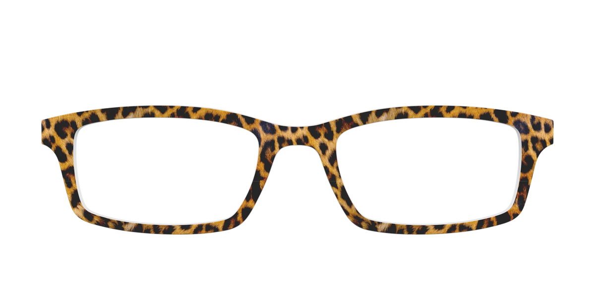 The Cheetah Spots