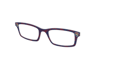 The Panthers® Ice
