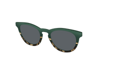 The Polarized Spruce Tortoise Sun Top