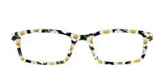 The Delicate Daisies