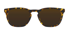 The Polarized Tortoise Sun Top