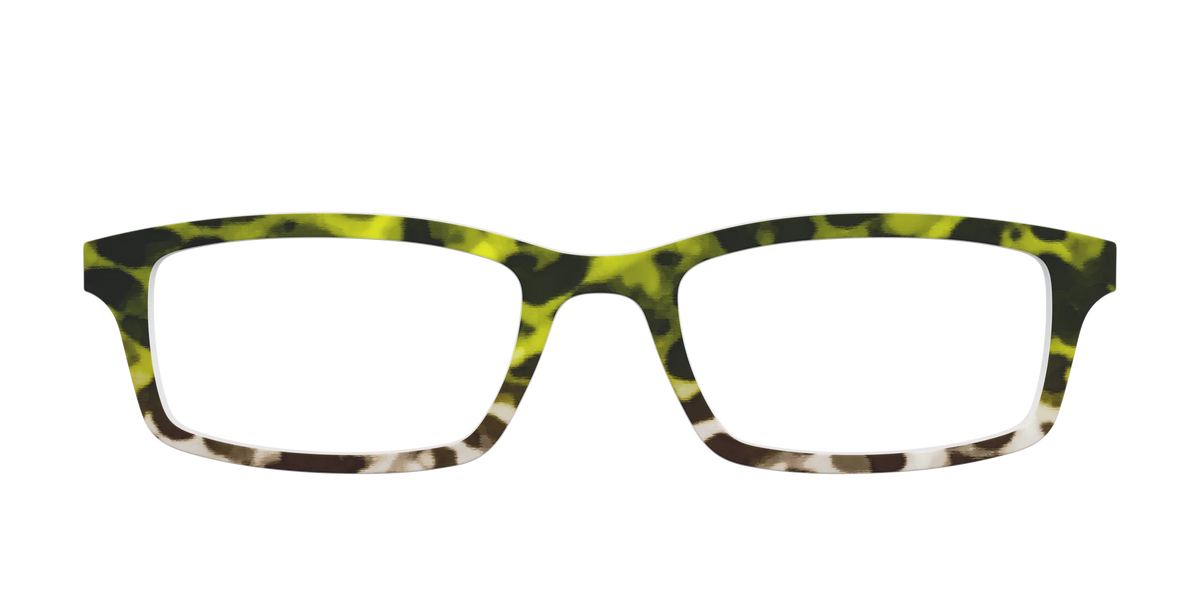 The Avocado to Ivory Tortoise