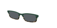 The Polarized Spruce Tortoise Sun Top