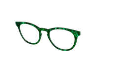 The Clover Pearl Tortoise