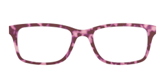 The Maroon Tortoise