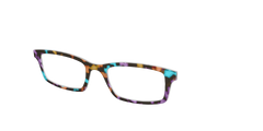 The Summer Tortoise