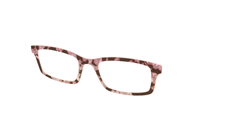 The Pale Peach Pearl Tortoise