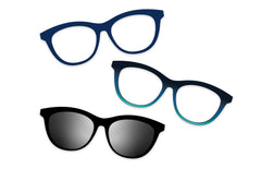 Blue Tortoise - Set